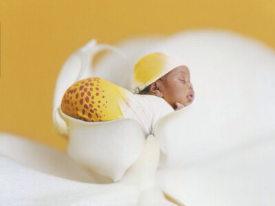 安妮·哥蒂斯（Anne Geddes）的画册：那是我们最初的样子，我们内心最初的温柔时刻。