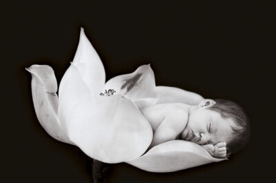 安妮·哥蒂斯（Anne Geddes）的画册：那是我们最初的样子，我们内心最初的温柔时刻。