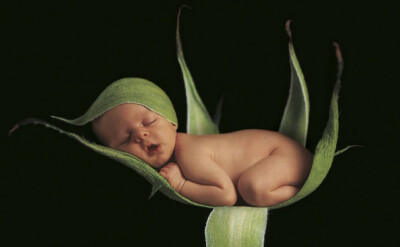 安妮·哥蒂斯（Anne Geddes）的画册：那是我们最初的样子，我们内心最初的温柔时刻。