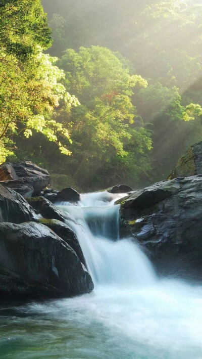 小径湿色未干.云散日出远山.芳草娇羞含露.花中对影蝶仙。