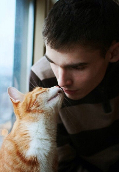 尽管猫对你爱理不理的，但是它们真的很爱你！我愿意一辈子做你的铲屎君！