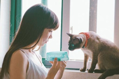 尽管猫对你爱理不理的，但是它们真的很爱你！我愿意一辈子做你的铲屎君！