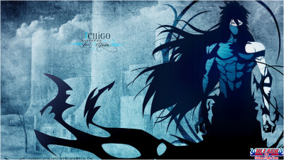 死神！！黑崎一护卍解