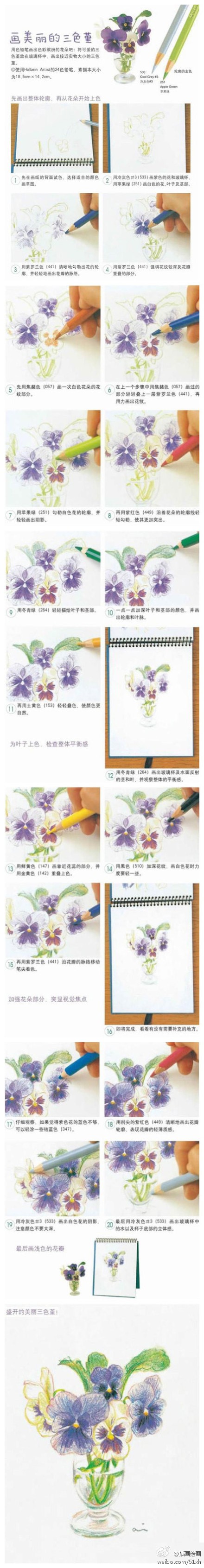 用彩铅画三色堇www.dgtianjiao.com