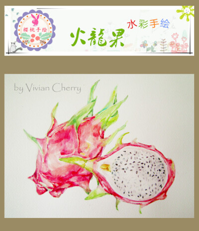 水彩手绘火龙果插画师vivian cherry的水彩手稿