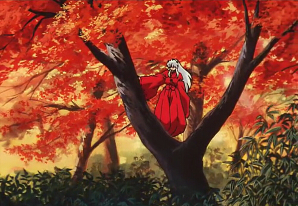 犬夜叉犬夜叉inuyasha