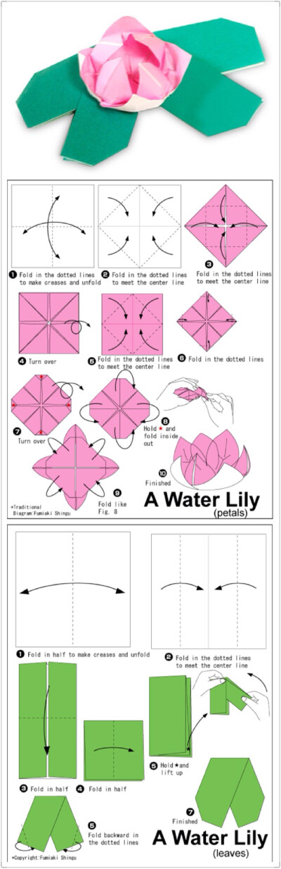#手工课#【折纸教程】水百合 （难度：四颗星）