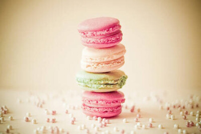 macarons 颠倒众生的小圆饼