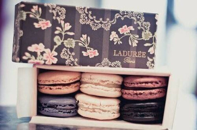 macarons 颠倒众生的小圆饼
