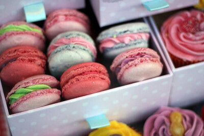 macarons 颠倒众生的小圆饼
