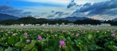 我那村庄