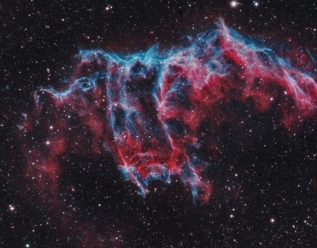 【东方面纱星云中的幽灵】张牙舞爪的外观和夸张的色泽，天生就是万诞节面具。