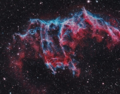 【东方面纱星云中的幽灵】张牙舞爪的外观和夸张的色泽，天生就是万诞节面具。