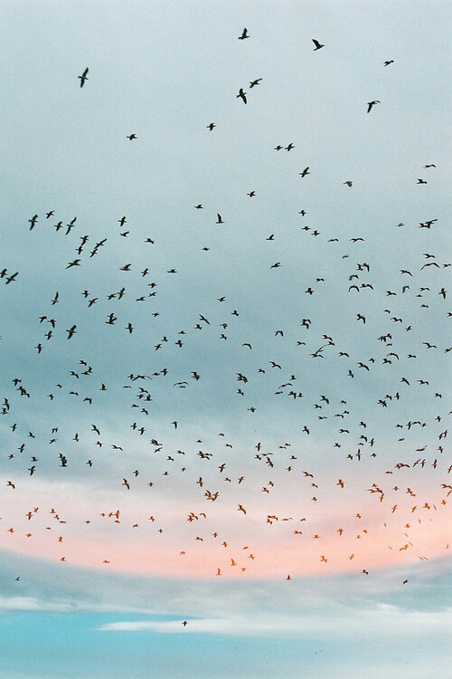 天空♡ 换不完的手机壁纸..