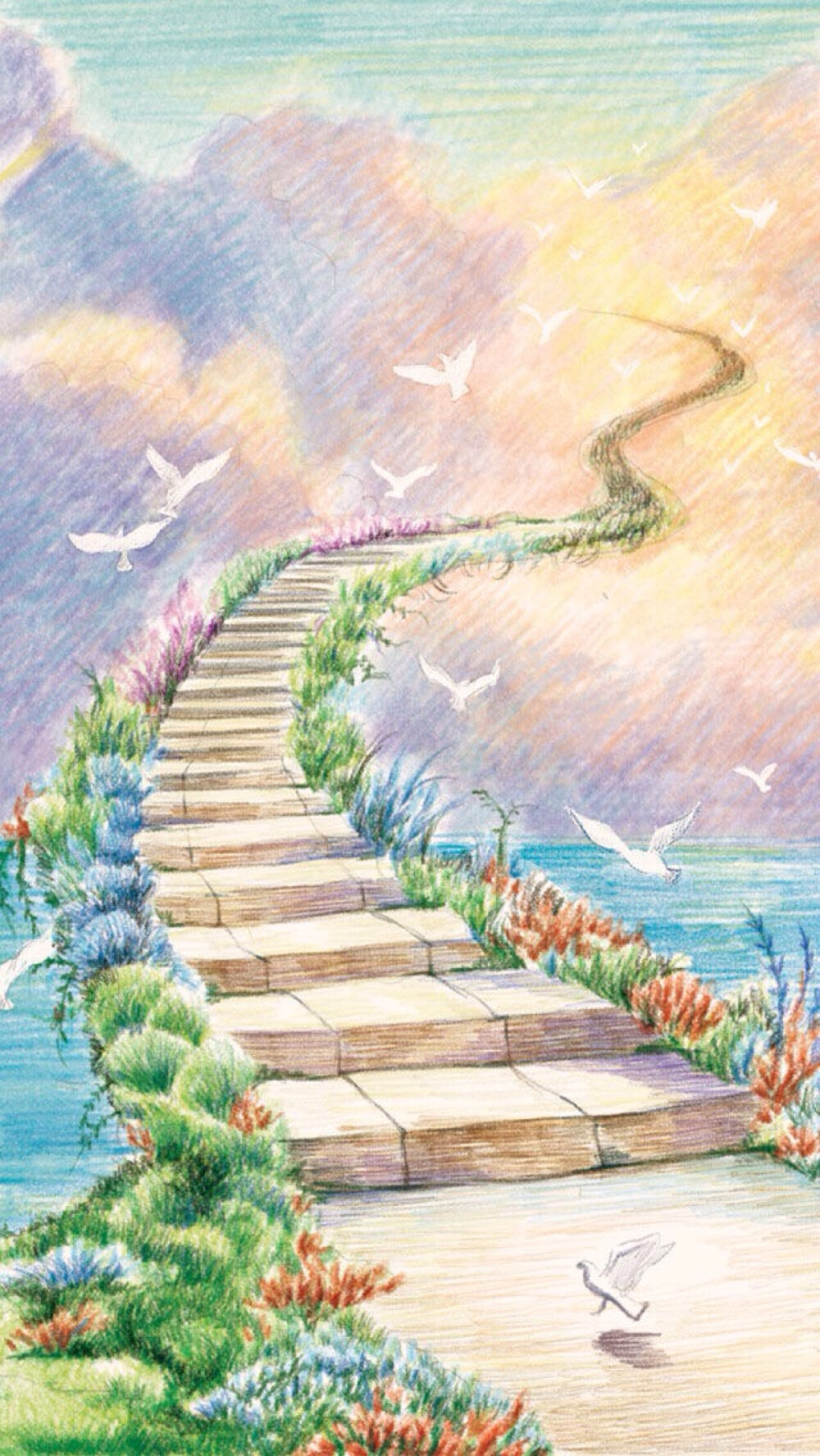 【新浪微博 飞乐鸟】