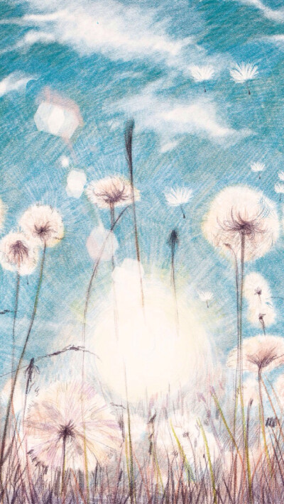 【新浪微博 飞乐鸟】