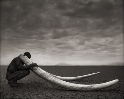 The sun sets on the natural world by Nick Brandt