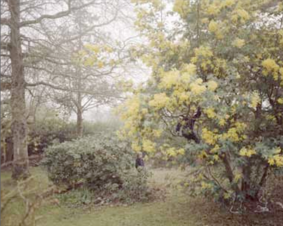 Morbihan, my chosen home The Gulf of Morbihan,from generation to generation by Patrick Messina