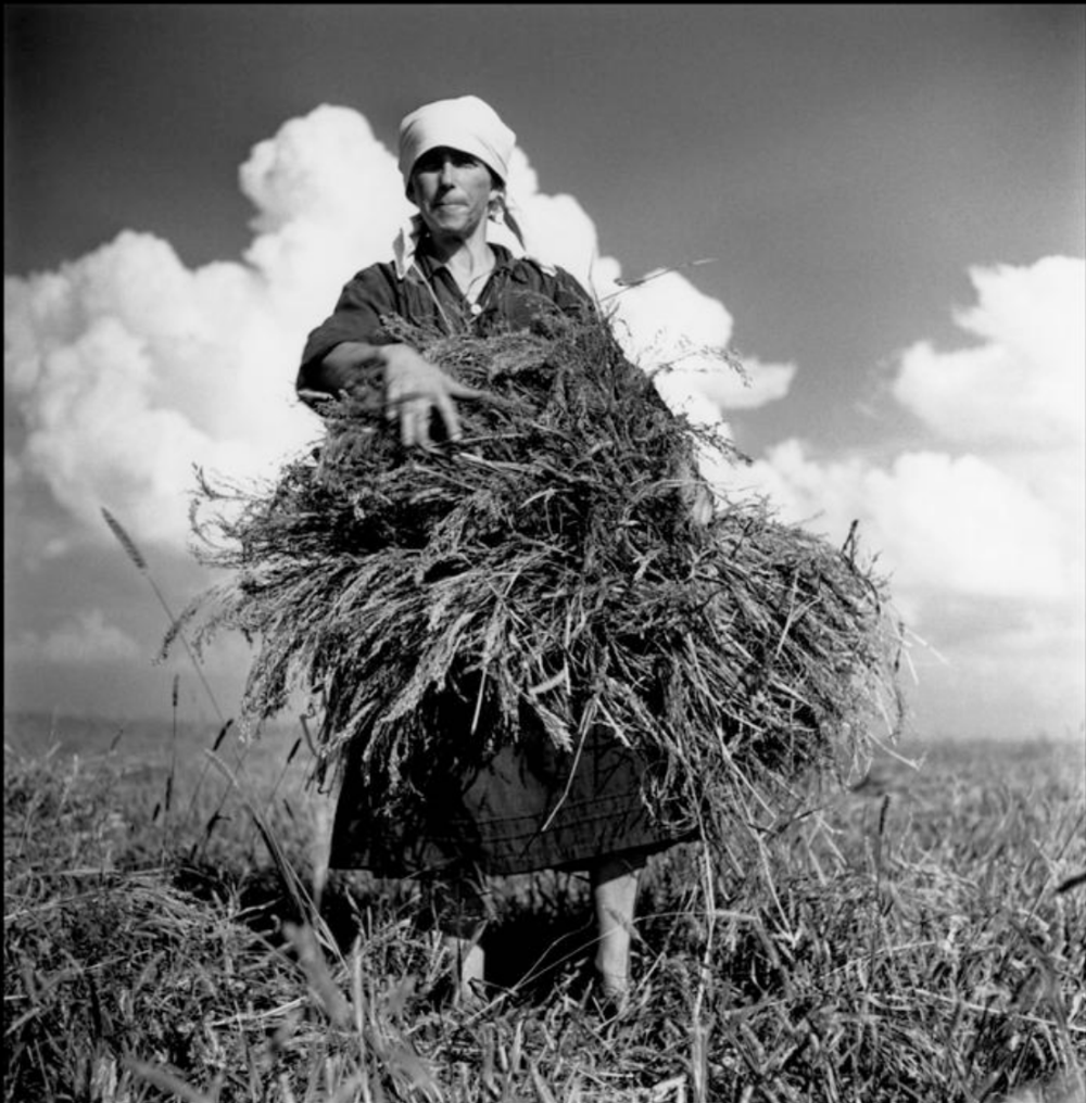 Far from the Crowds by Robert Capa