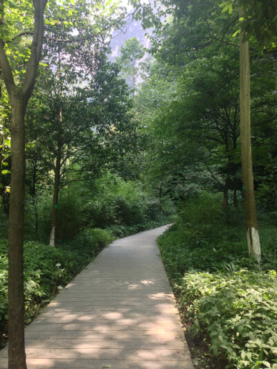 【神龙峡】登山栈道