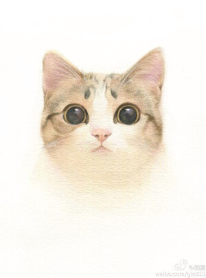 可爱