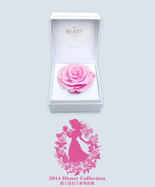 迪士尼公主系列限量巨型玫瑰—— 白雪公主的苹果 Disney Princess Rose Collection