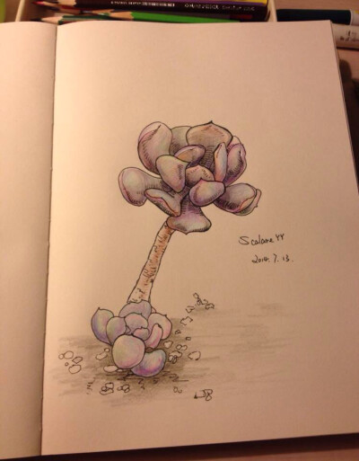 天再热也要品尝最新鲜出炉的热小画，只因有份情谊在～