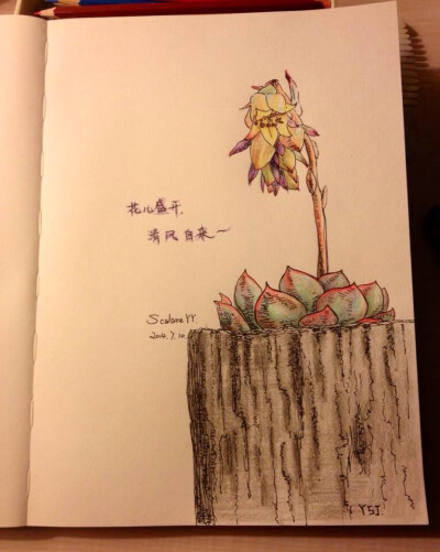 天再热也要品尝最新鲜出炉的热小画，只因有份情谊在～