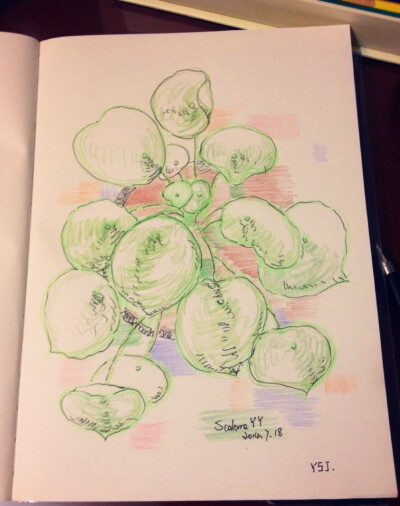 天再热也要品尝最新鲜出炉的热小画，只因有份情谊在～