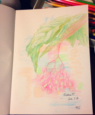 天再热也要品尝最新鲜出炉的热小画，只因有份情谊在～