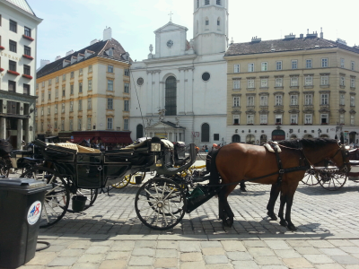 vienna 街头马车群♥我是小市民我坐不起啊..