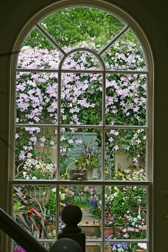 ❤ 如果你开在我窗前 繁盛也好，稀落也好 我也不至于觉得 熟悉的地方 永远没有风景.❤（让每一扇门与窗开满鲜花）