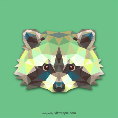 【triangle Design|Raccoon】