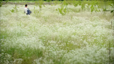 没关系 是爱情啊