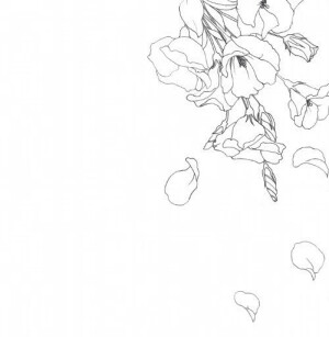 一些花枝的黑白线稿图，来源多是漫画/素材集，具体来源未知，仅供参考学习。by@原画人官方微博