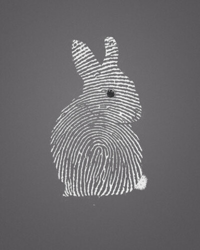 指 纹 兔