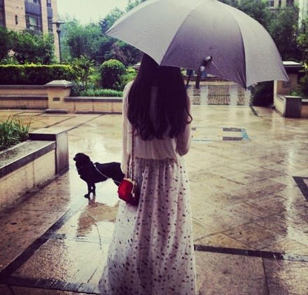 伞伞和狗~