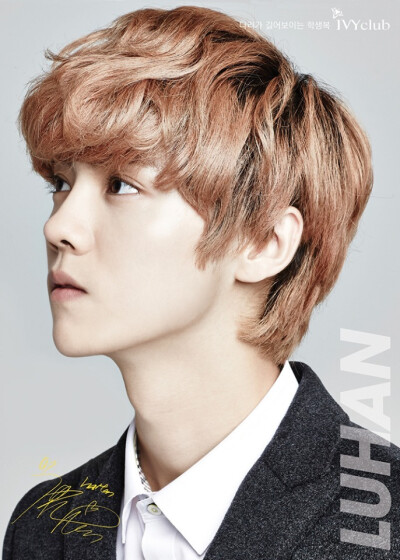 IVY CLUB. LUHAN.