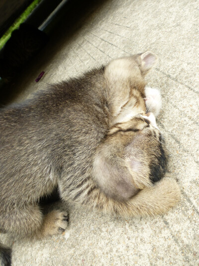 抱着