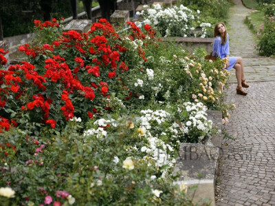 人物不在主要位置，位于延伸点上，也不错。