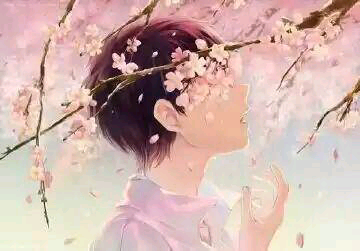 人面桃花