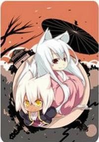 猫之茗 龙井&amp;amp;普洱