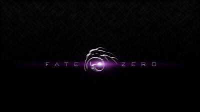 fate zero