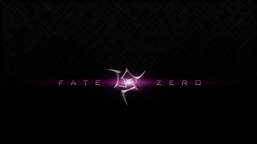 fate zero