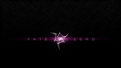 fate zero