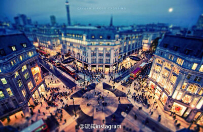 放眼望去，是那么地美，那么地有爱可仔细一看，去充满了痛苦和悲伤