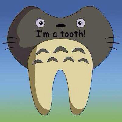 Tooth