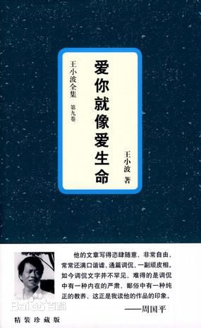 《王小波全集9：爱你就像爱生命》是《王小波全集》第九卷书信集。《爱你就像爱生命》这个书名出自王小波、李银河一封未面世书信，自1977年，王小波与李银河相识，开始书信往来，到80年代二人在国外求学，一直到90年…