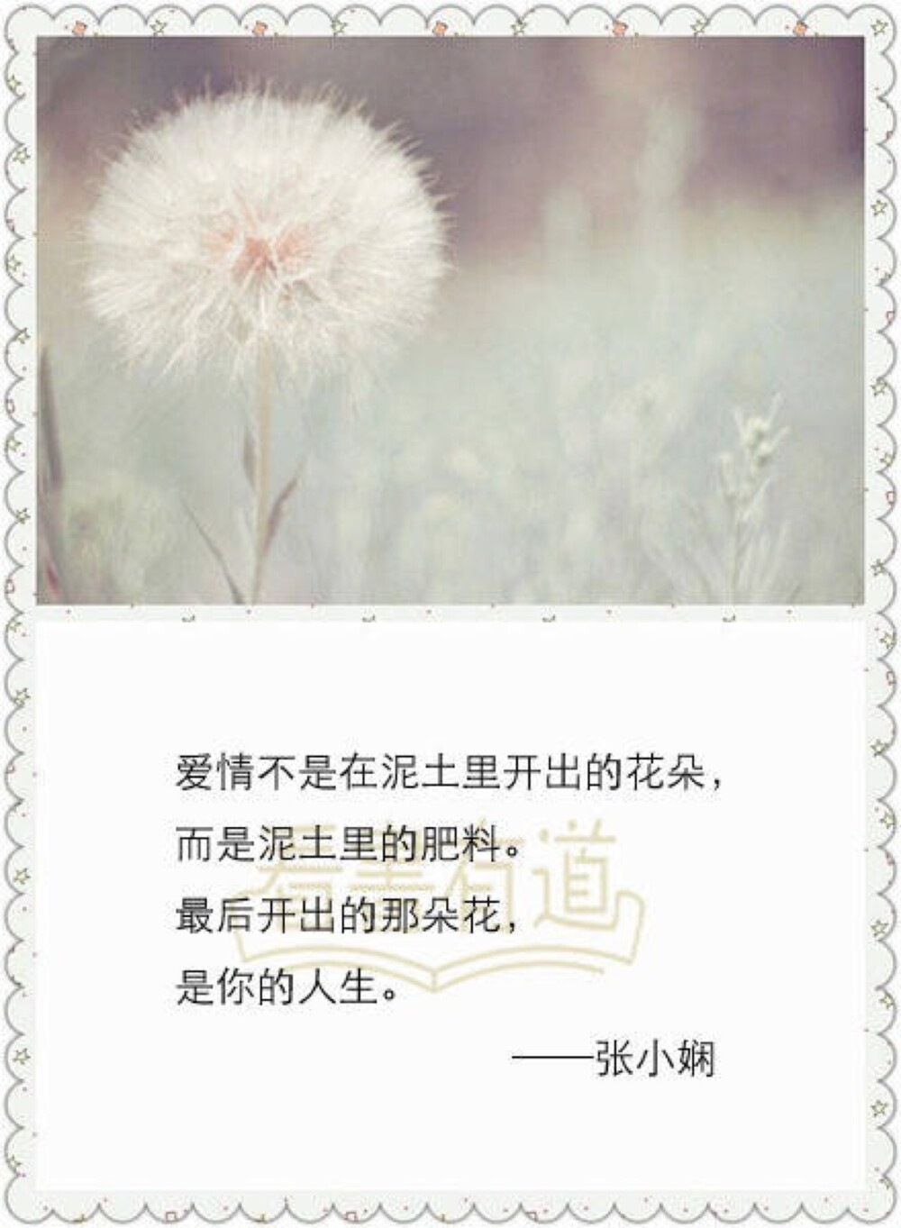 张小娴