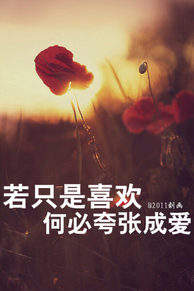 •阿画自制壁纸• 若只是喜欢，何必夸张成爱。原创iPhone壁纸＆锁屏 #意境 #伤感 #清新 #文字 #句子 #人物 #爱情 #箴言 #感触 #摘抄 #歌词 #星空 #语录 #平铺 #文艺. -转载请注明出处谢谢- @2011刘画